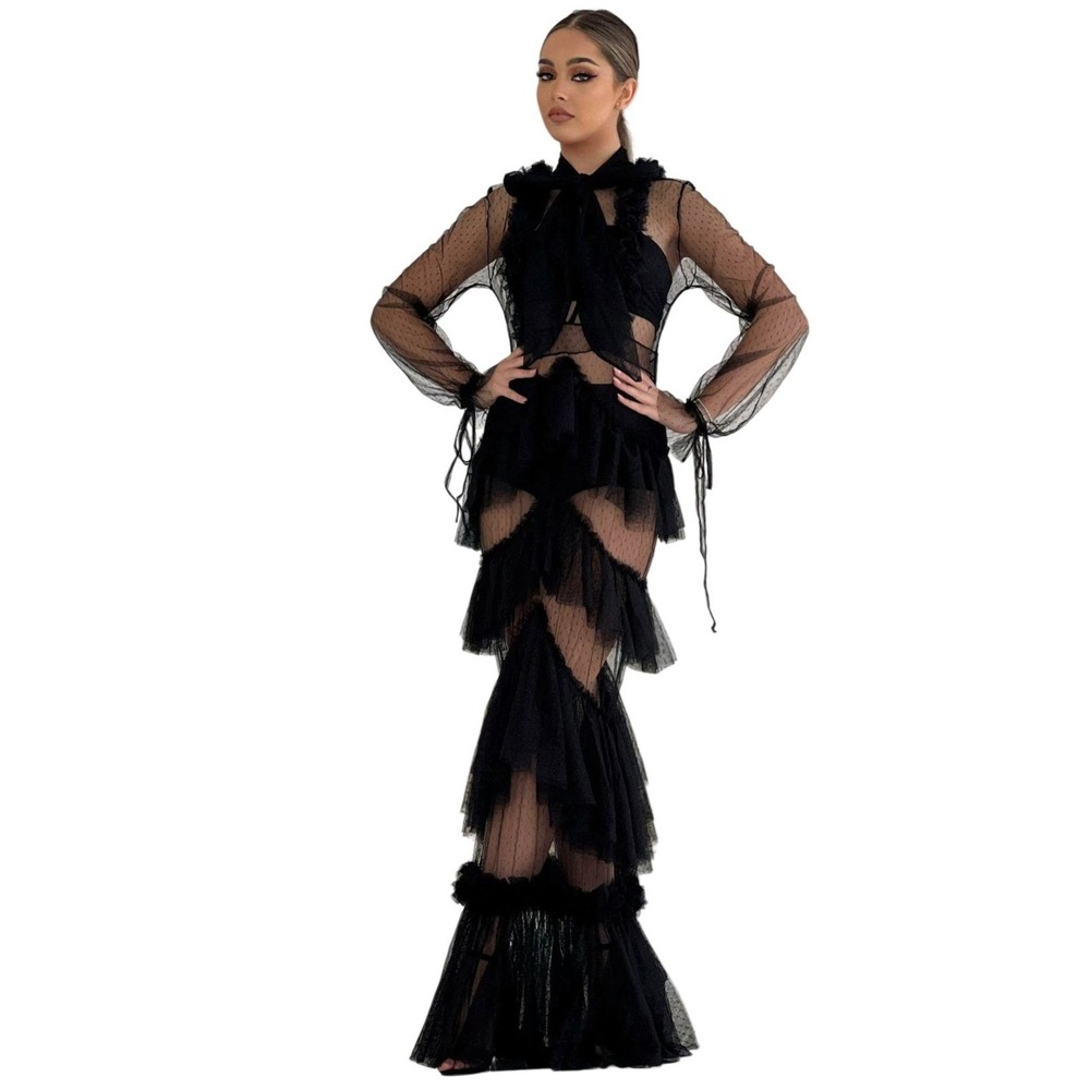 Feminine Maximalist Chic Black Polka Dot Mesh Ruffle Tiered Maxi Dress Sheer- XS